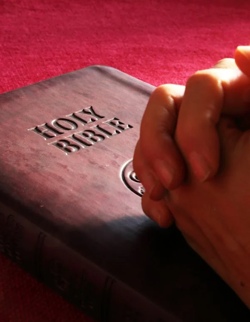 seek divine forgiveness seek divine forgiveness