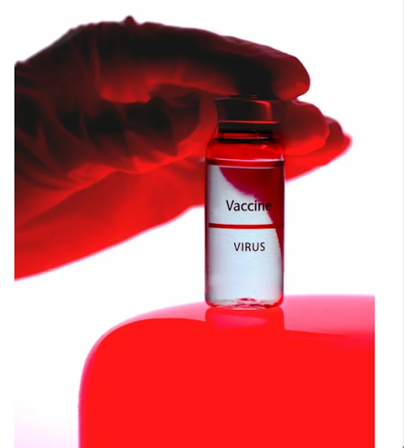 boost intellectual immunity boost intellectual immunity
