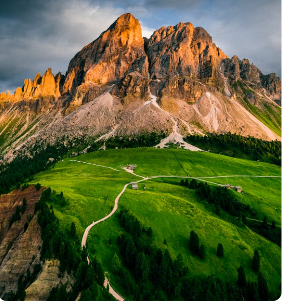cracks in rocks and grass