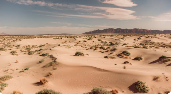 economic climate change effects on developing countries